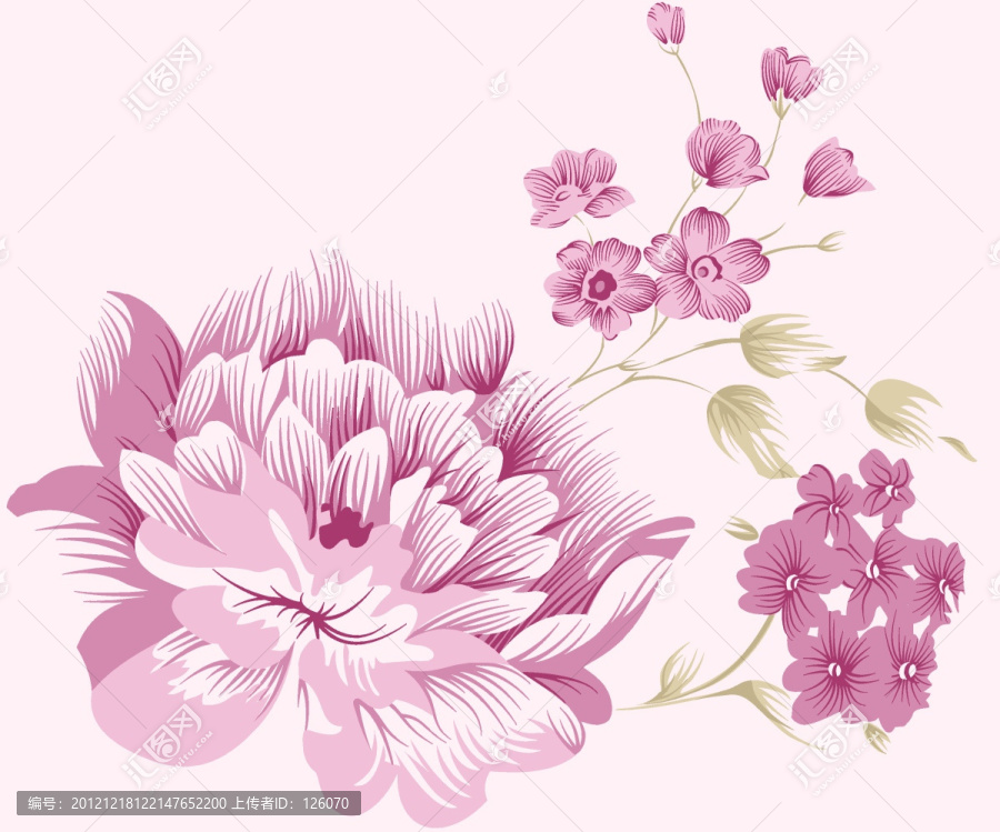 花卉素材