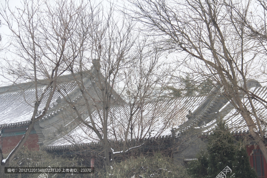 雪景