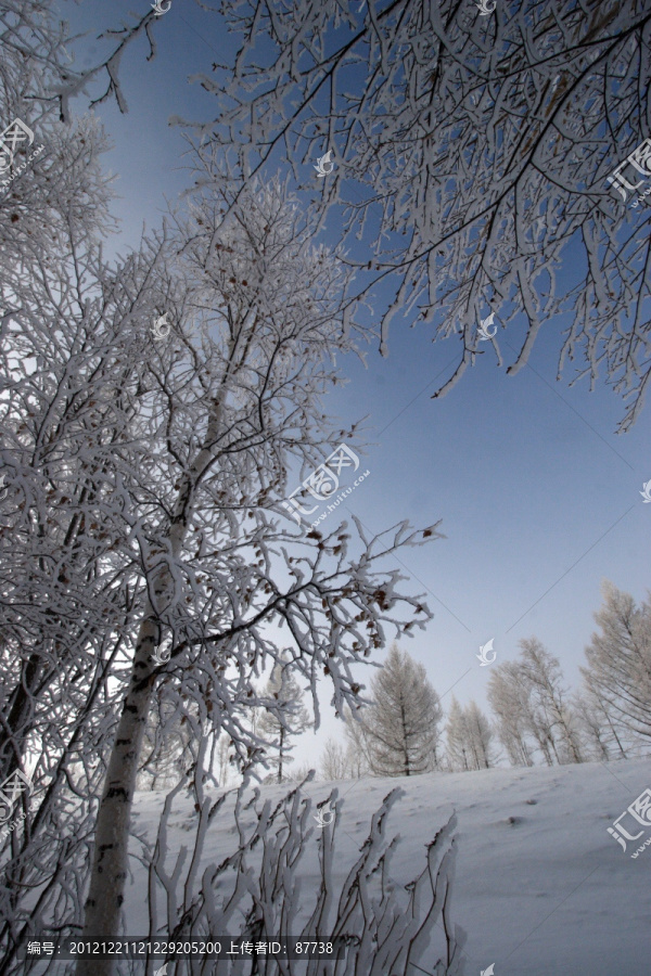 东北雪乡