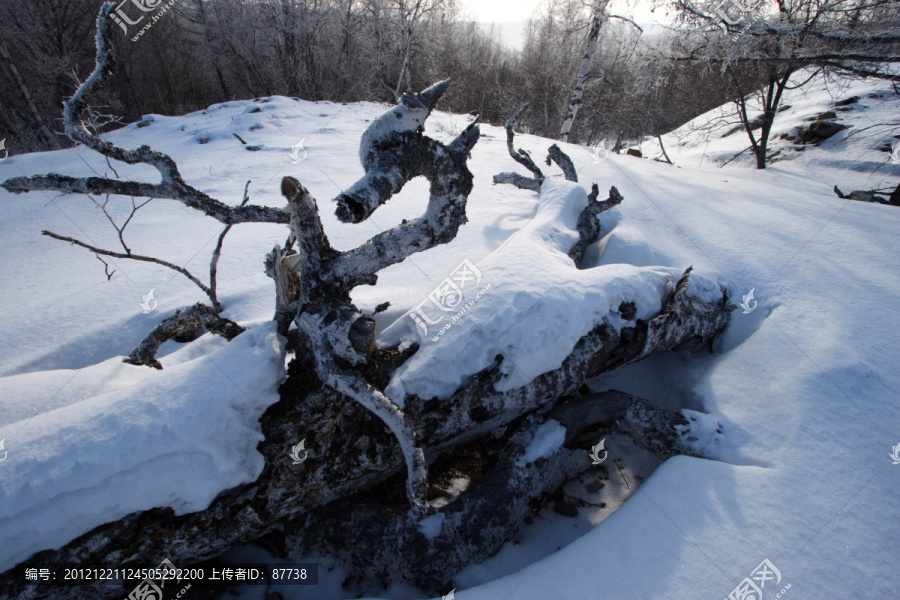 东北雪乡