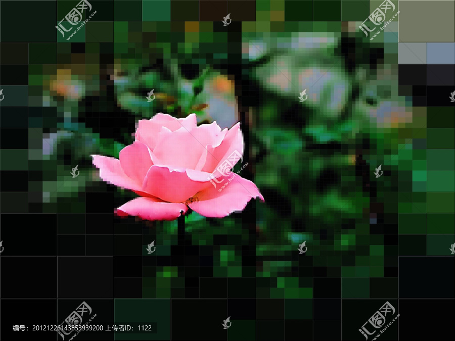 抽象畫,月季花