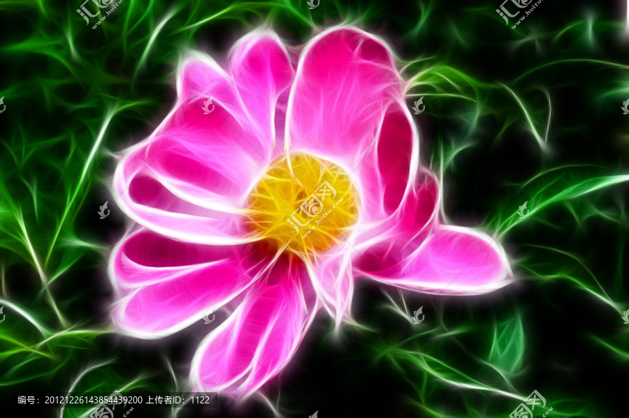 抽象畫,花卉