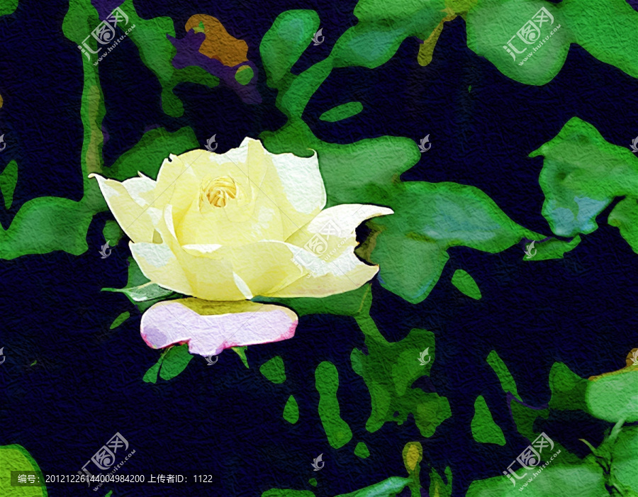抽象畫,月季花