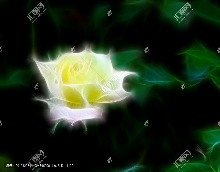 抽象畫(huà),月季花