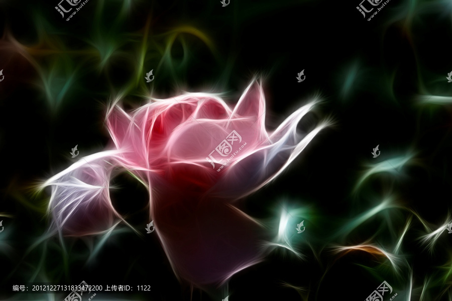 抽象畫,月季花