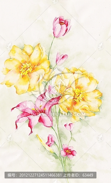 水彩花卉