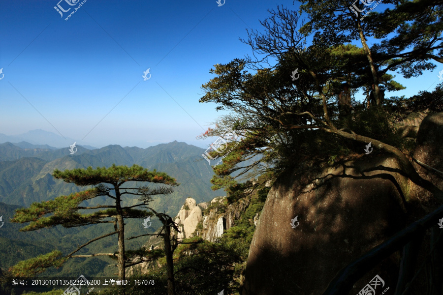 三清山迎客松