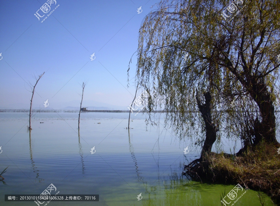 滇池湿地