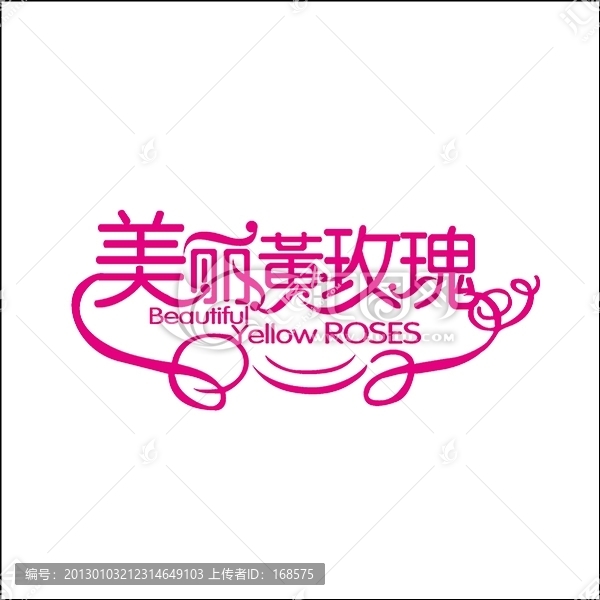 美麗的黃玫瑰