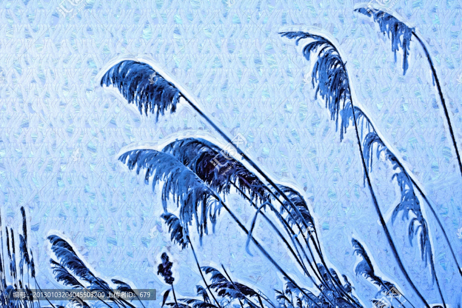 蘆花