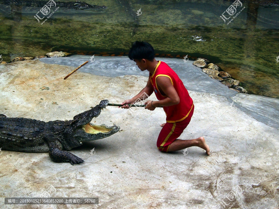 泰国北榄鳄鱼湖动物园