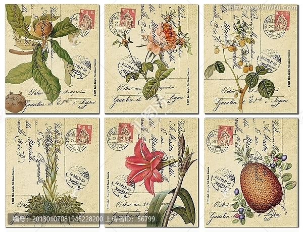 花卉,無框畫,郵票,歐美風(fēng)格