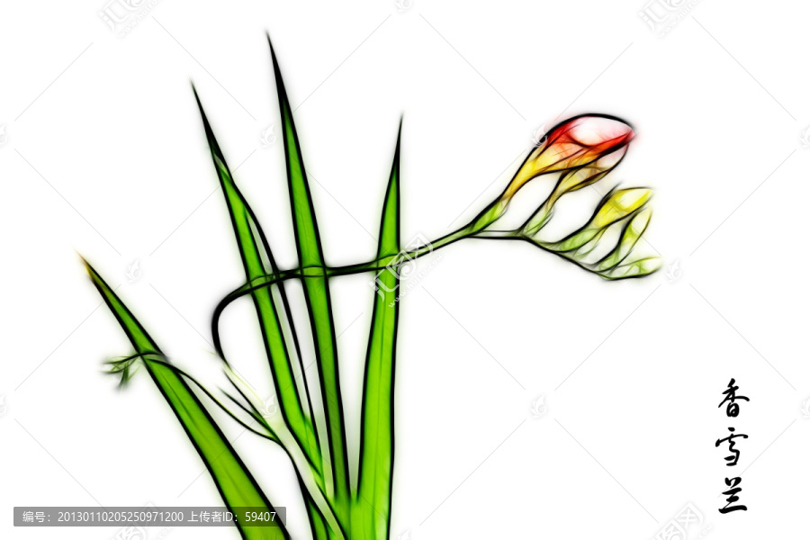無框畫,蘭花