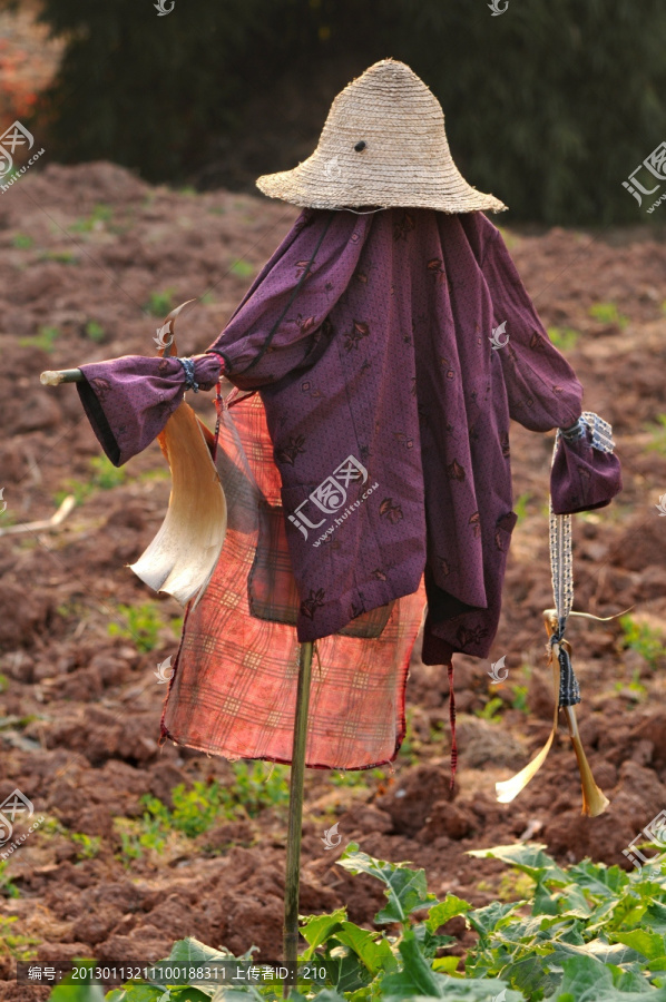 稻草人,农田,庄稼地