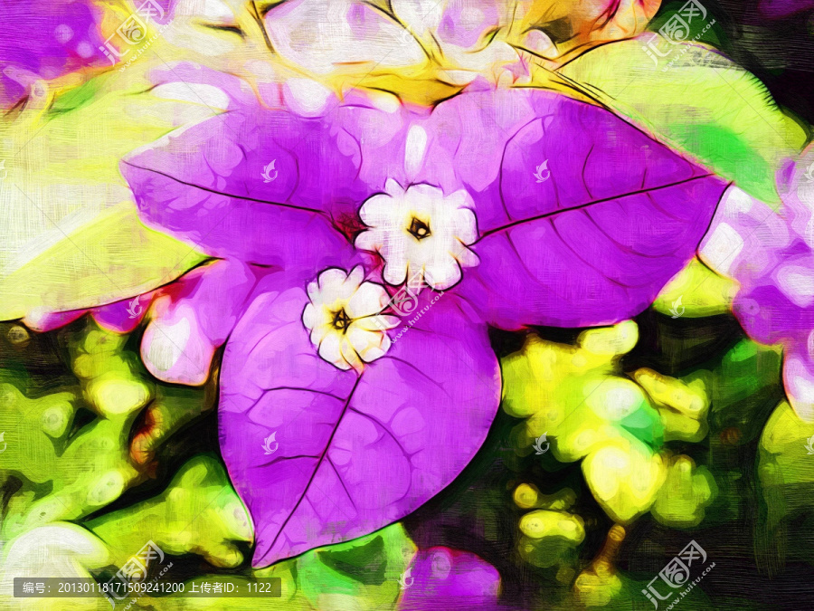 裝飾畫,花卉