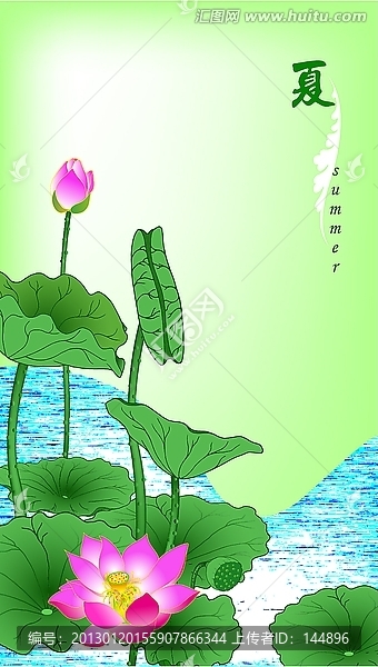 夏季荷花,矢量圖