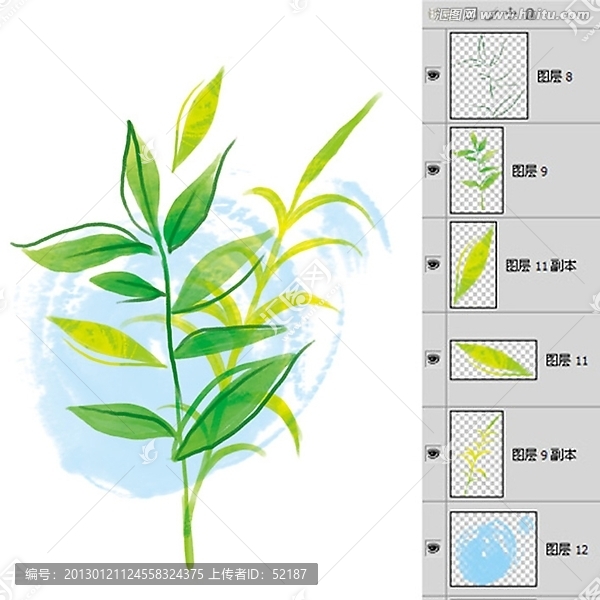 彩墨草本