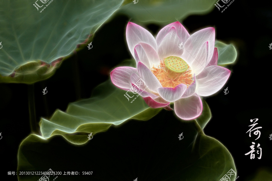 荷花,無框畫,裝飾畫