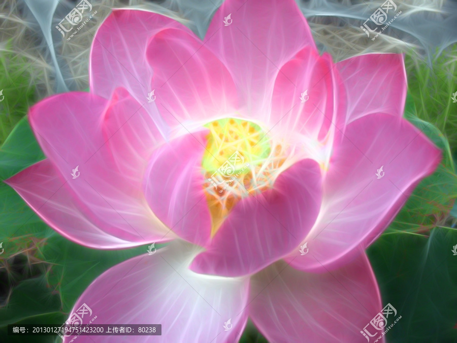 光影荷花裝飾