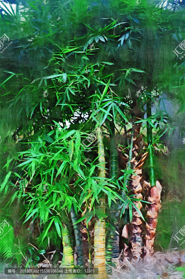 竹子,油畫