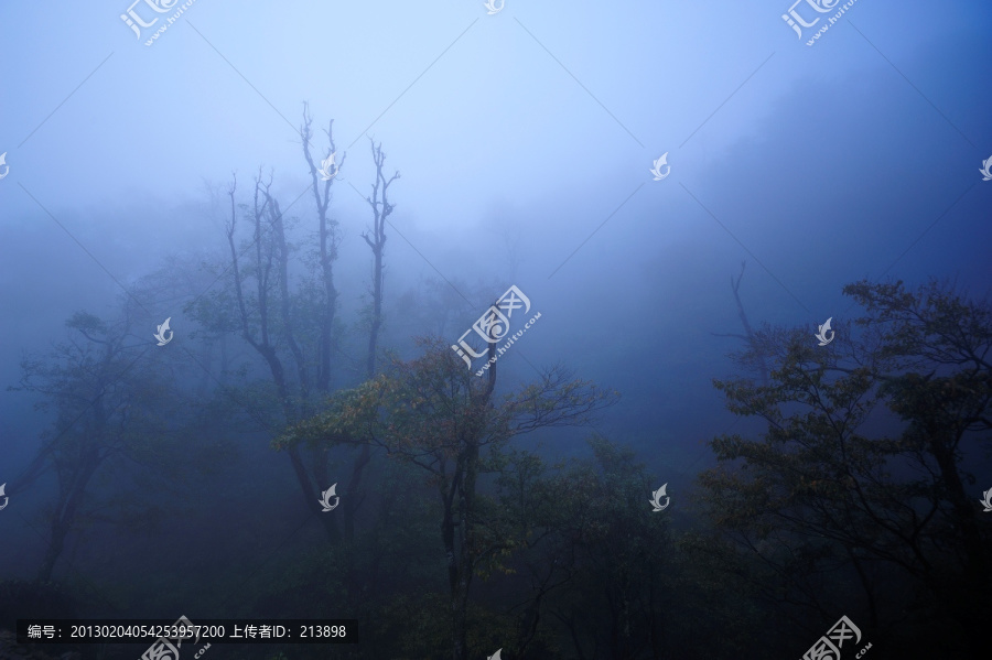 荔波風(fēng)景