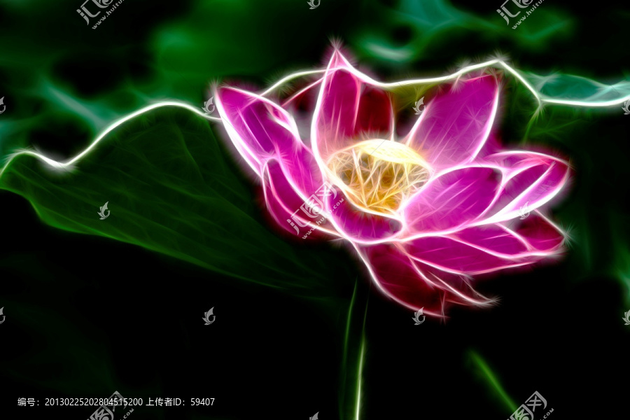 無框畫,荷花