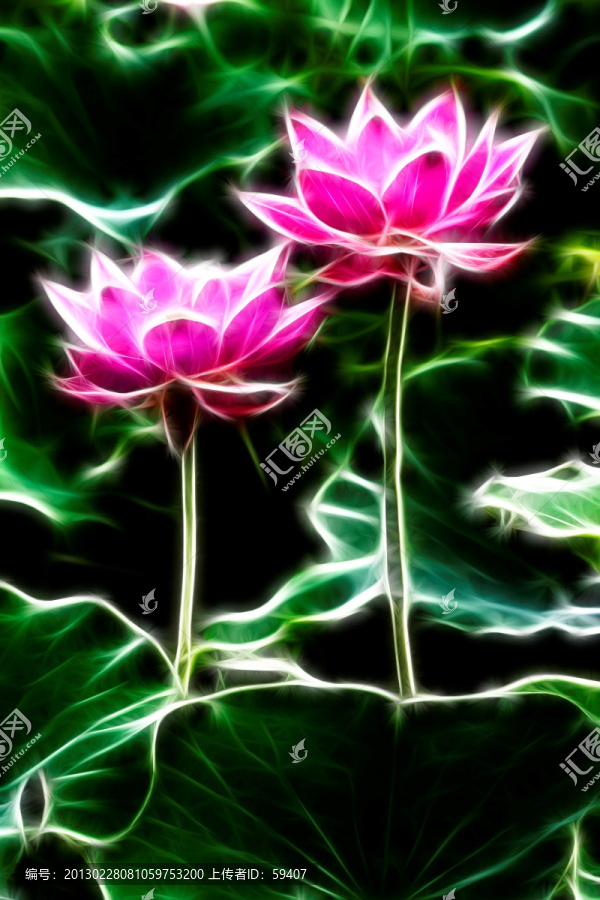 無框畫,荷花
