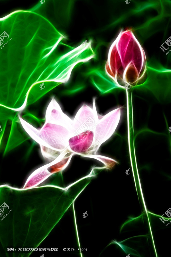 無框畫,荷花