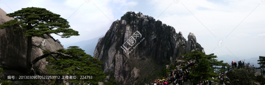 黄山迎客松