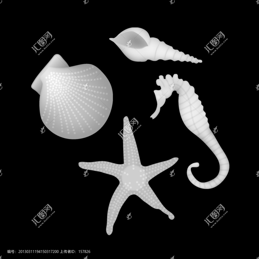 海星海馬貝殼