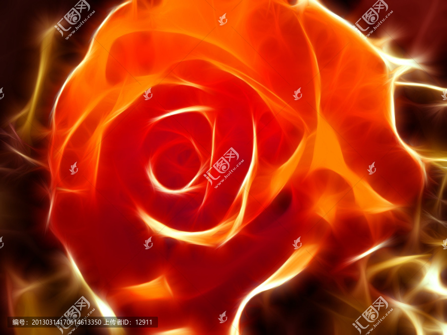 抽象畫,玫瑰花,月季花