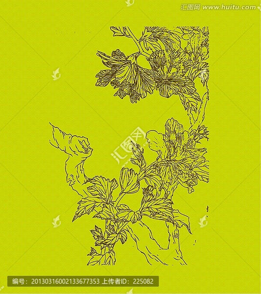 木槿