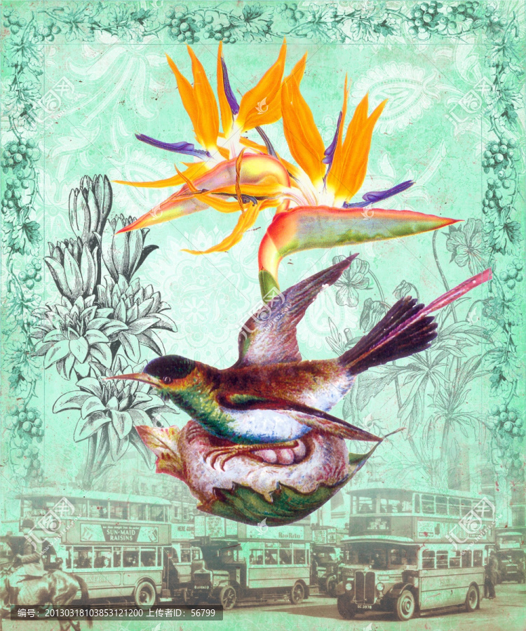 花鳥(niǎo),包裝,蝴蝶,花紋,歐美風(fēng)格
