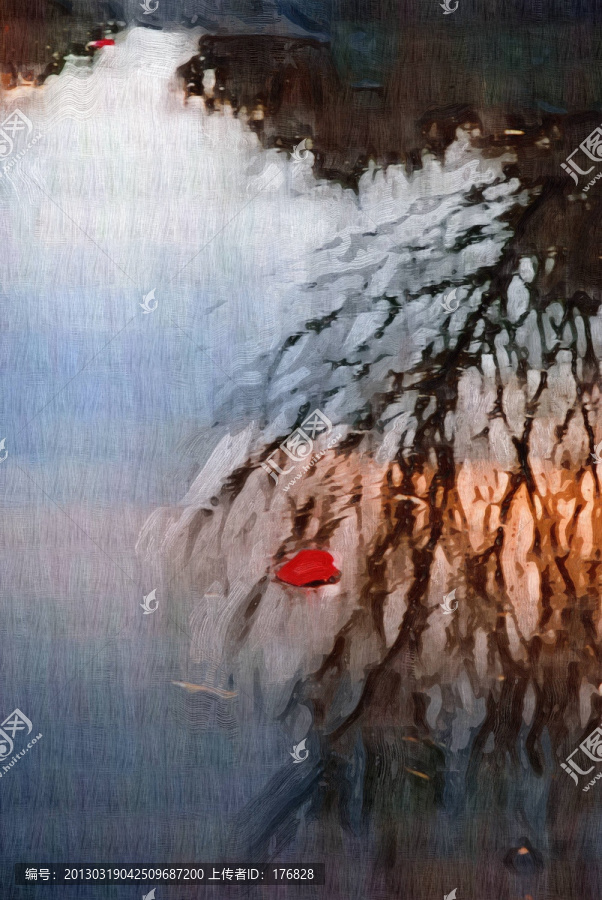 水中的花瓣
