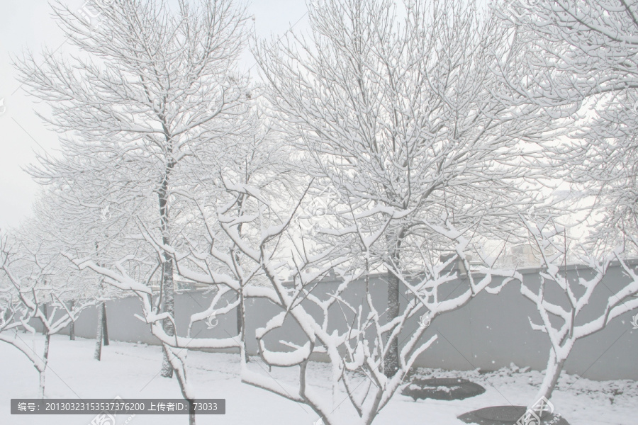 雪景雾凇