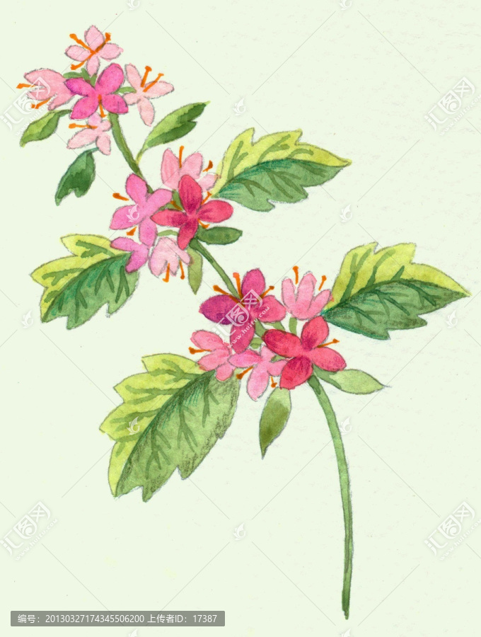 手繪花