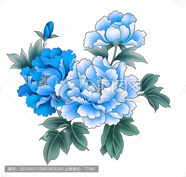 藍(lán)色牡丹花精細(xì)分層