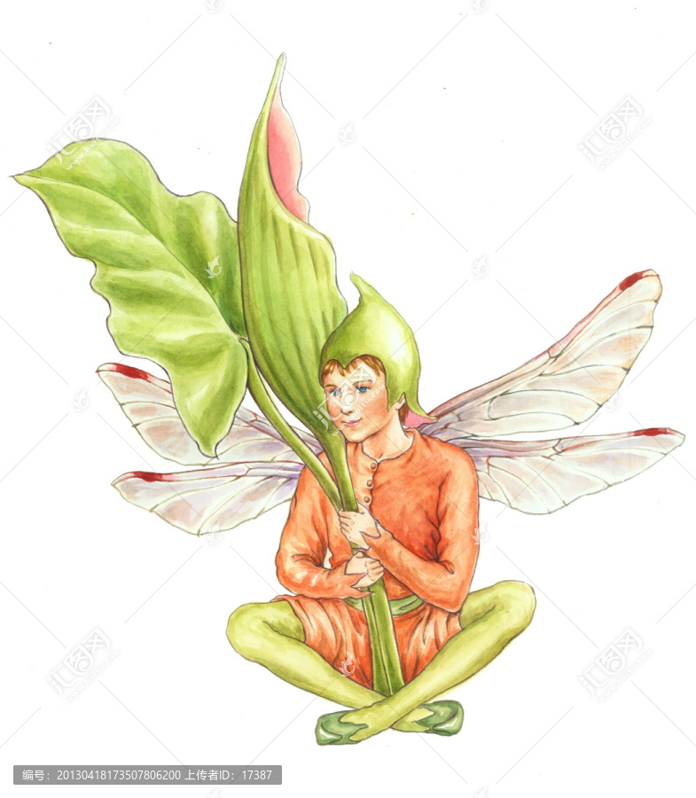 蜻蜓精靈