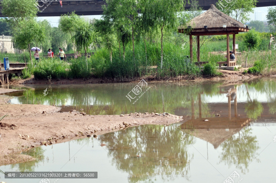 湿地公园