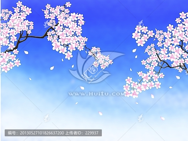 櫻花