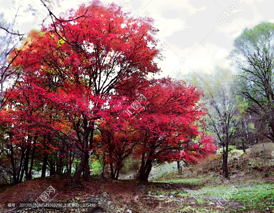 裝飾畫(huà),無(wú)框畫(huà),紅楓樹(shù)