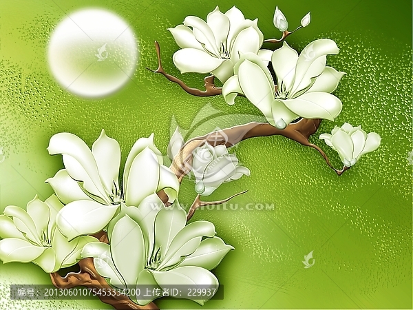 藝術(shù)玻璃寫真白玉蘭