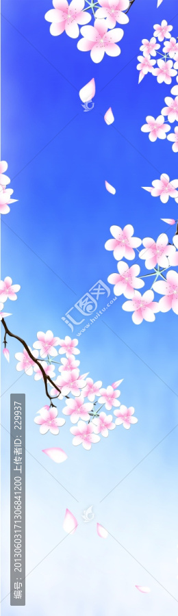 平開門寫真圖櫻花