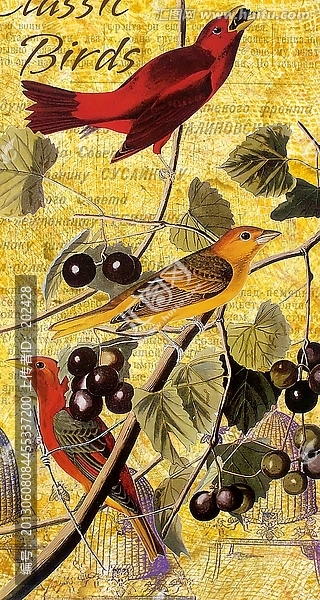 鳥(niǎo)語(yǔ)花香,經(jīng)典手繪花鳥(niǎo),復(fù)古