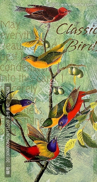 鳥語花香,經(jīng)典手繪花鳥,復(fù)古