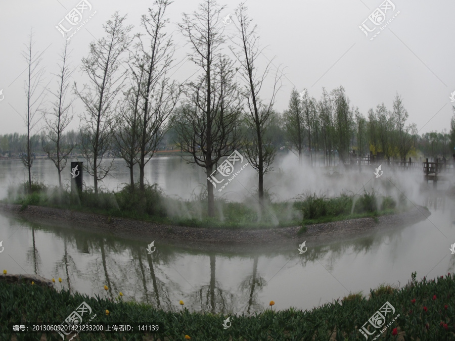 北京鲜花港,,水杉树