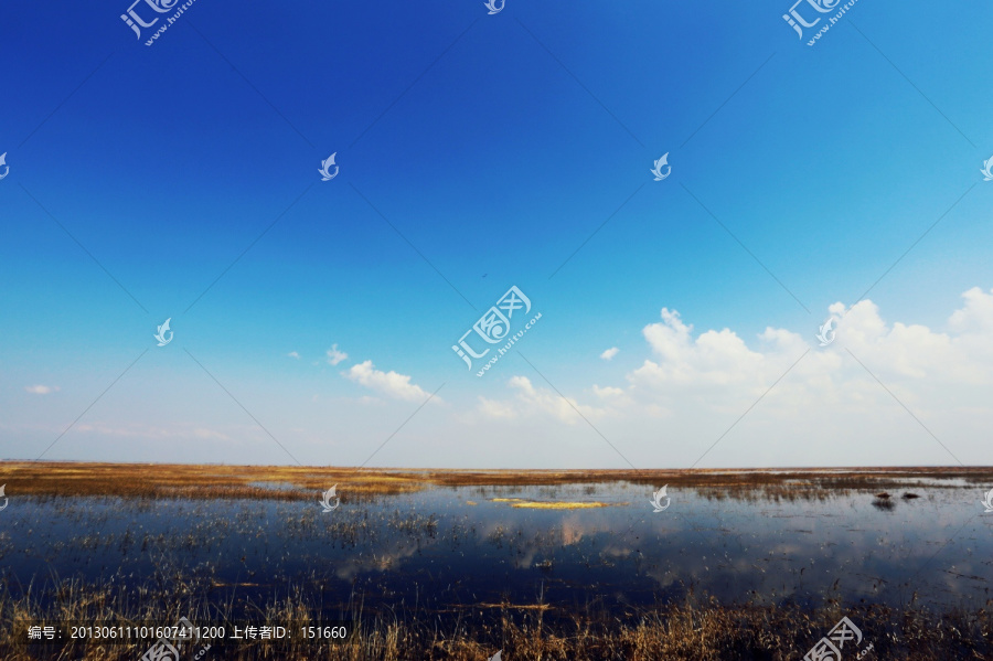 扎龙湿地自然保护区