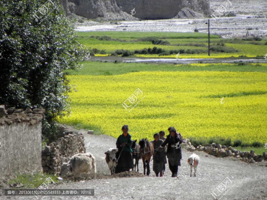 西藏农牧民的生产生活场景