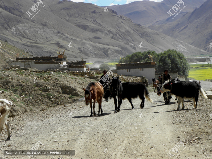 藏族农牧民的生产生活场景