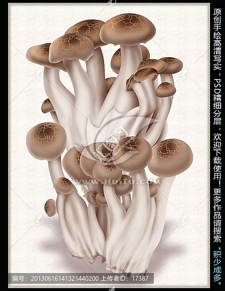 手繪蘑菇